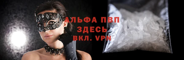 стафф Михайлов