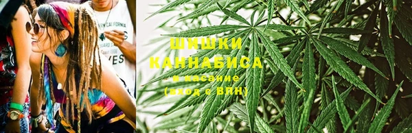 стафф Михайлов