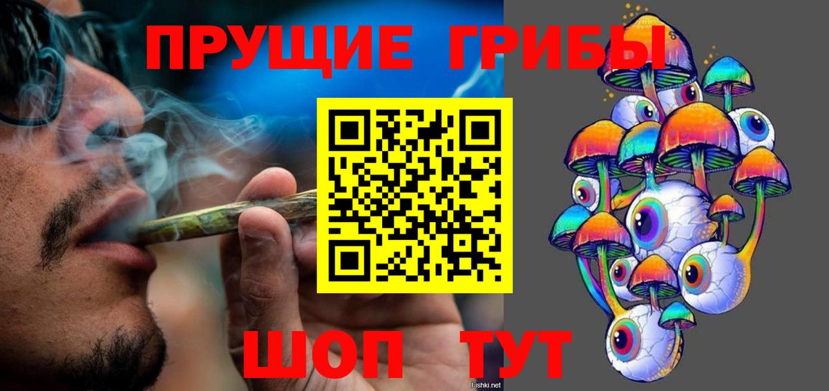 Галлюциногенные грибы Cubensis  Тверь 