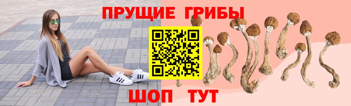 Тверь  Псилоцибиновые грибы Magic Shrooms  Псилоцибиновые грибы Psilocybine cubensis  Вход с VPN 